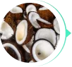 Lipídios de Coco